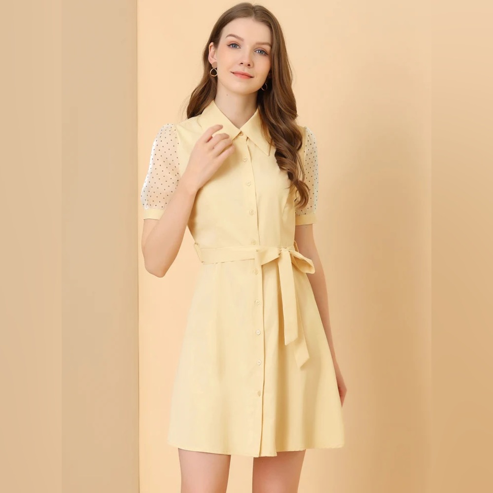 Button up shirt dress